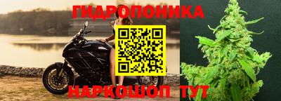 амф Ипатово