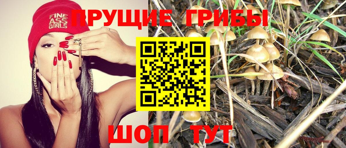 Псилоцибиновые грибы ЛСД  Вход с VPN  Красноярск 